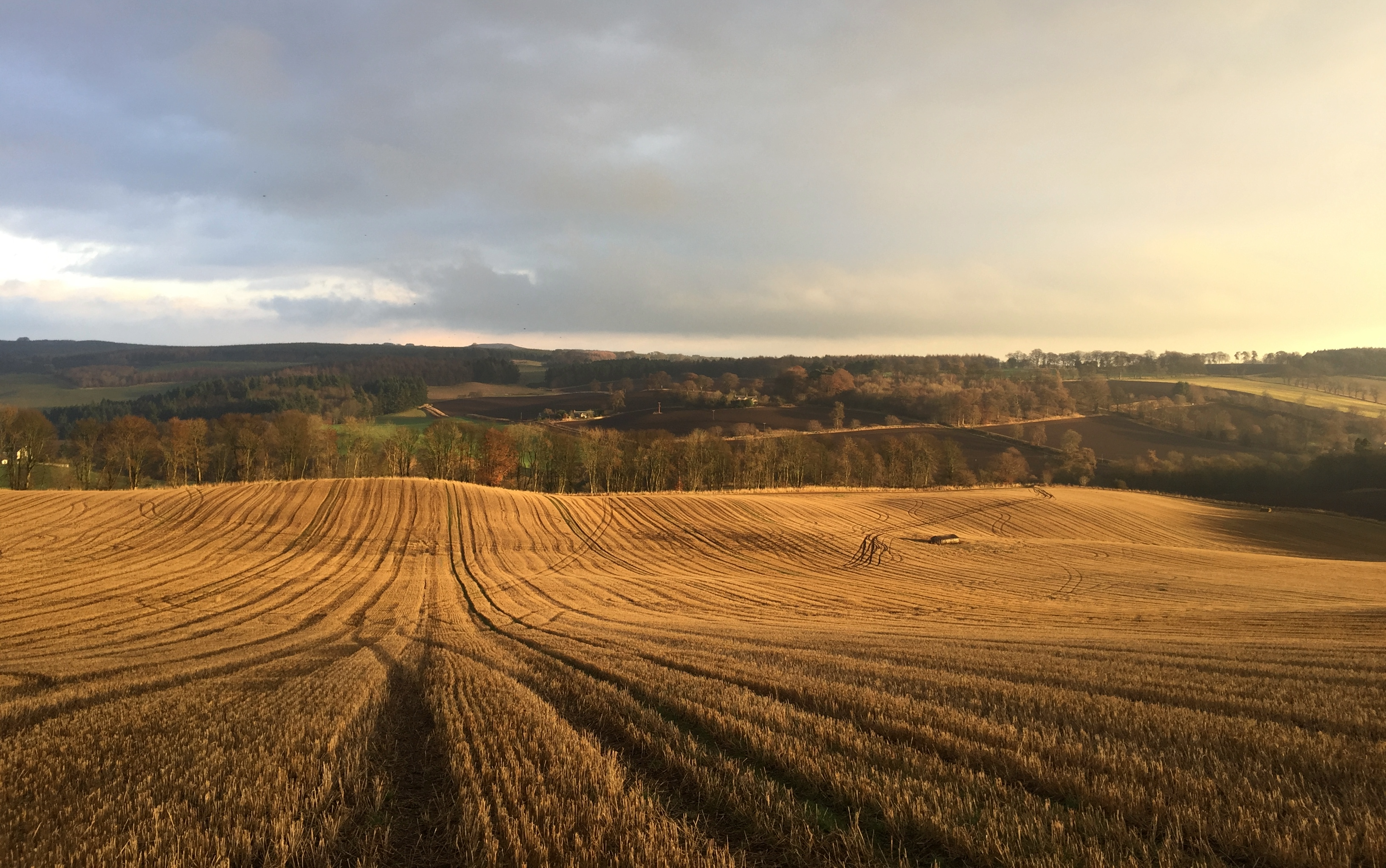A stubble field in the golden light of autumn